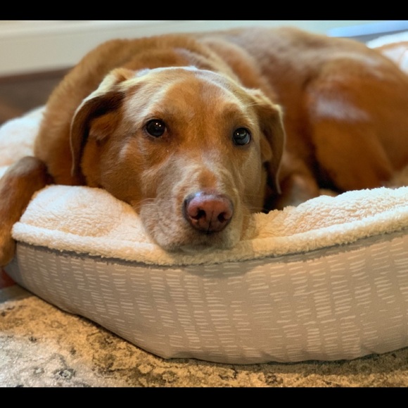 Meet your Posher, John - Picture 1 of 1